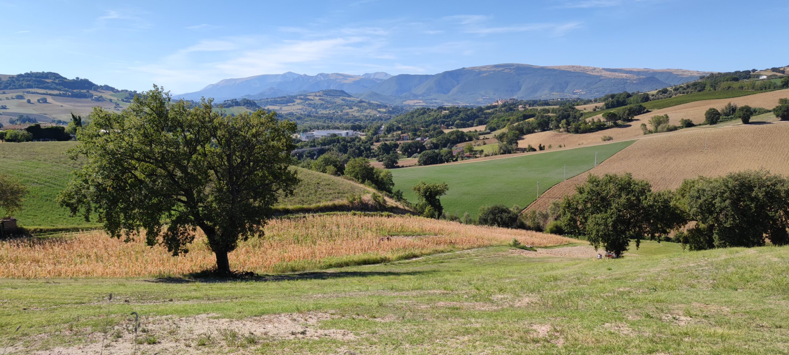 Il Casale – Chiaravalle di Treia